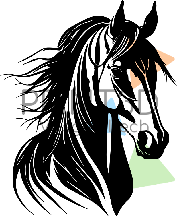 Stickers vinyle cheval - Autocollant